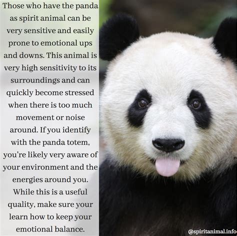 The Panda Mascot Headdress: A Traditional Chinese Art Form